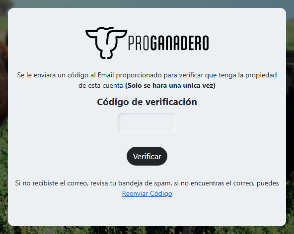 Pantalla para ingresar el código de verificación